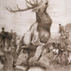 Illustration for article titled Ilyen szövegkörnyezetben először írta le a nevemet Bayer Zsolt
